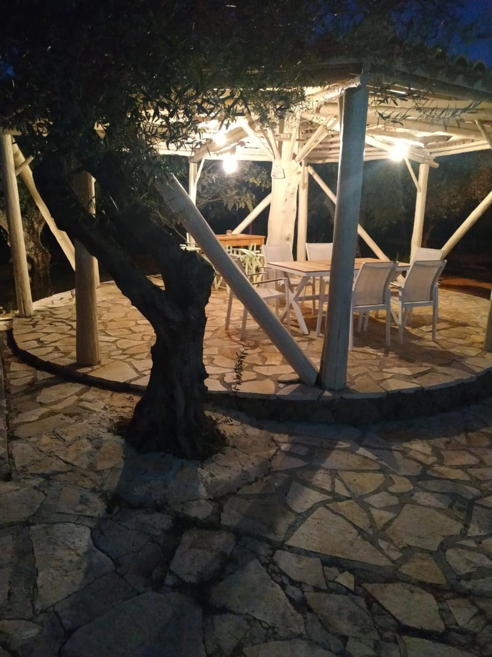Athena Studios Apartment in Zakynthos, Greece