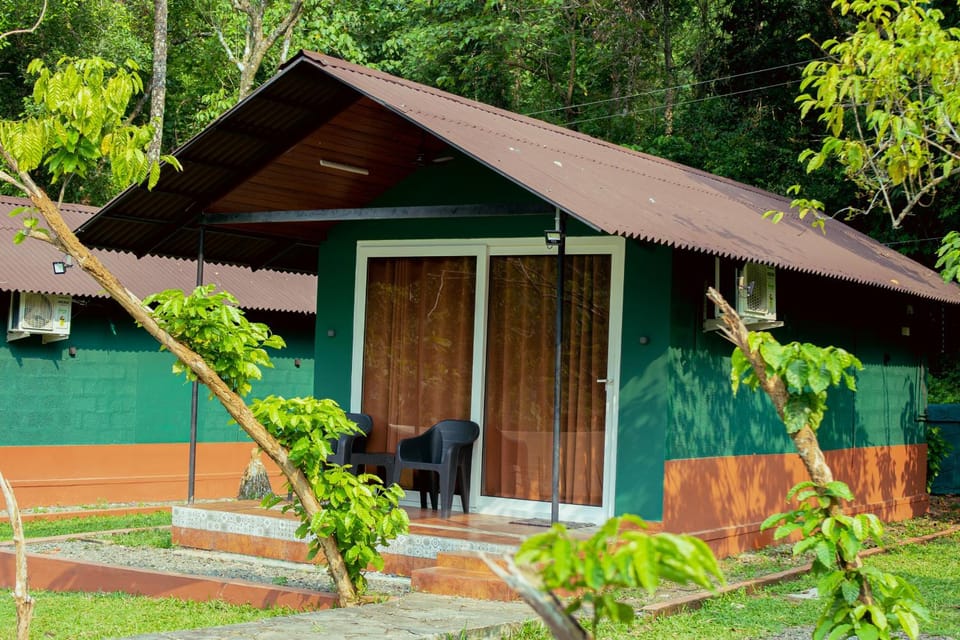 Property building, Garden, Garden view