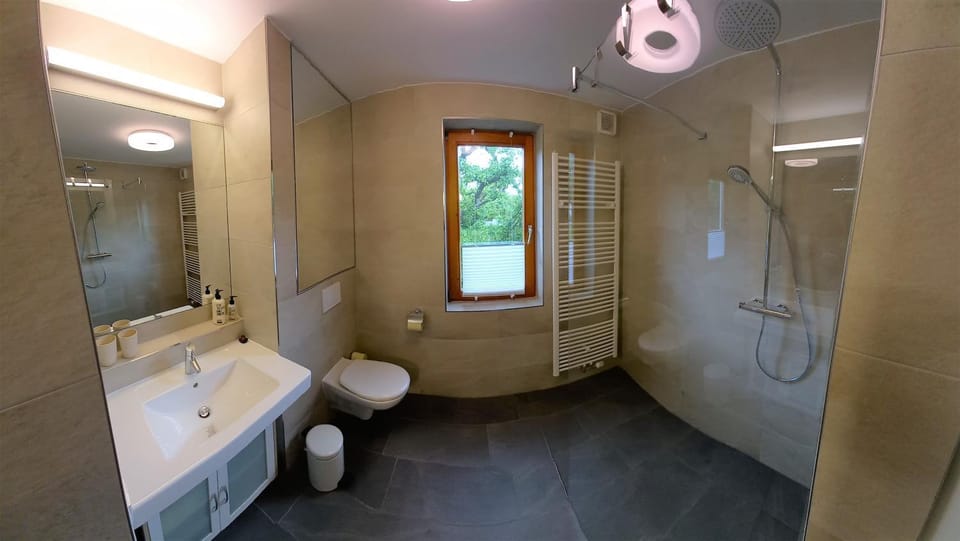 Shower, Toilet, Bathroom, towels