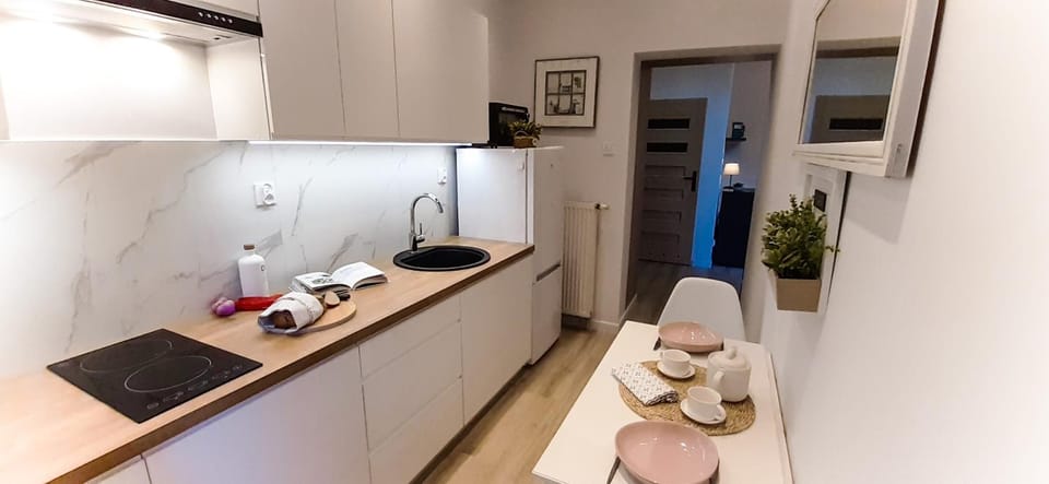 Kitchen or kitchenette, pet friendly