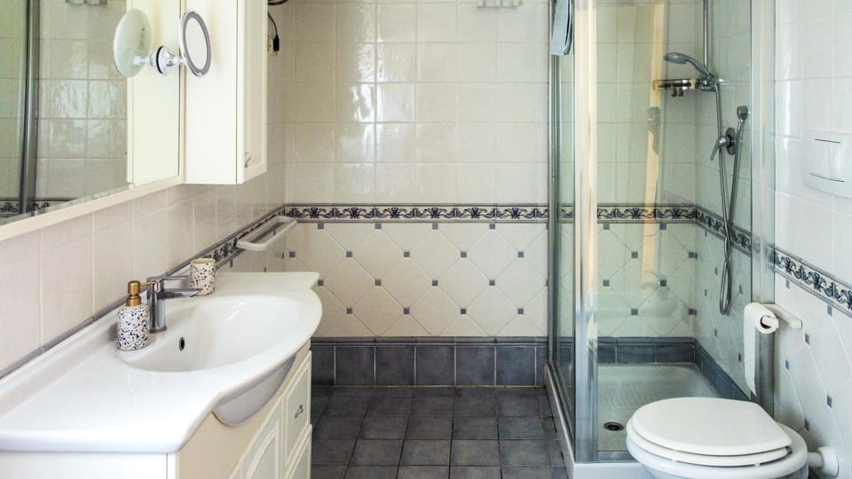 Shower, Toilet, Bathroom, bidet