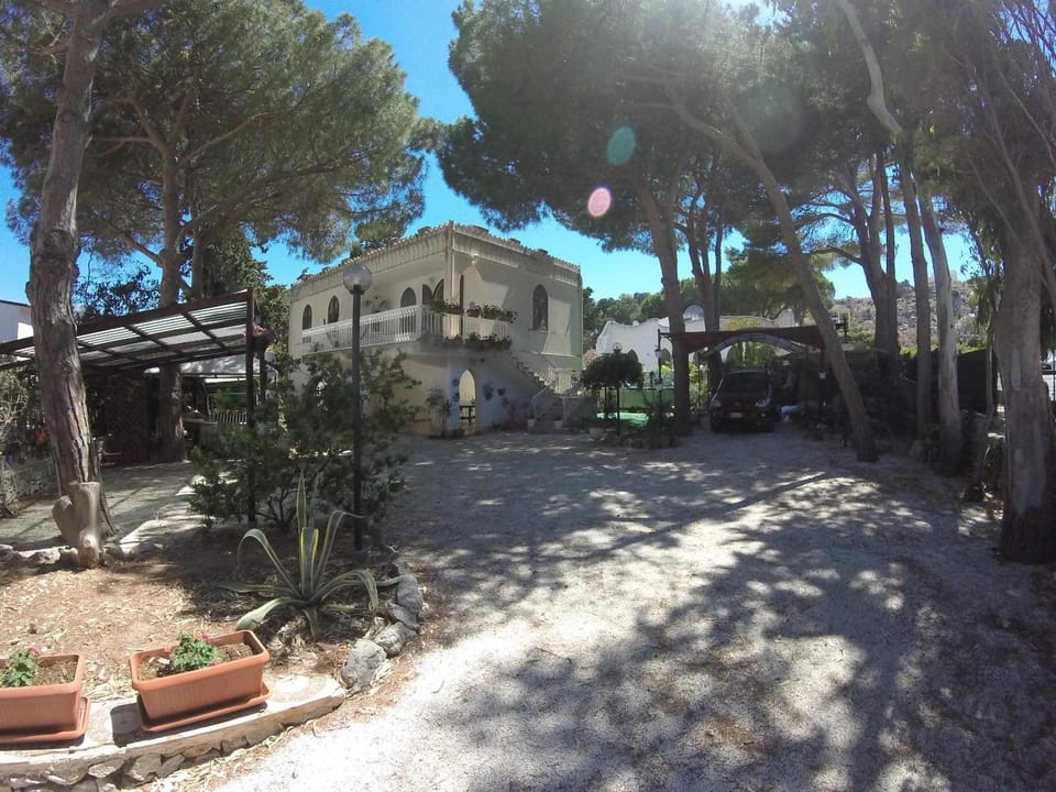 Property building, Facade/entrance, Garden
