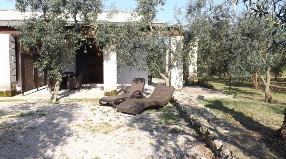 Facade/entrance, Garden