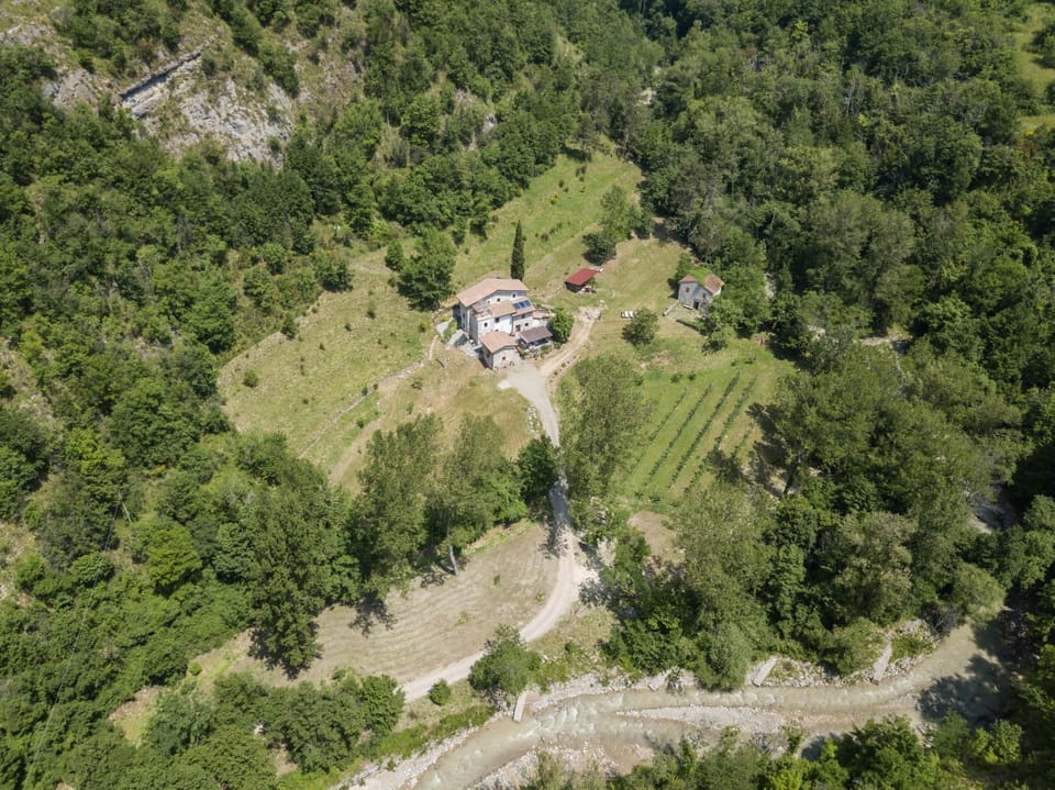 Bird's eye view, Garden view