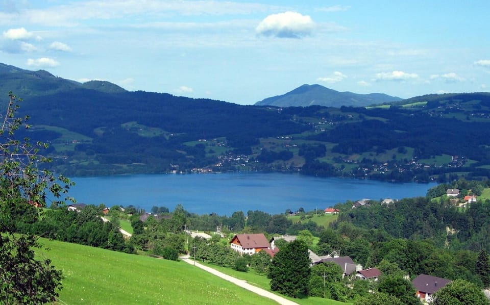 Bird's eye view, Summer