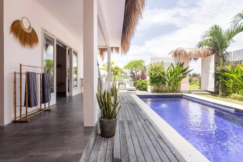 Patio, Day, Garden, Garden view, Pool view, Swimming pool, sunbed