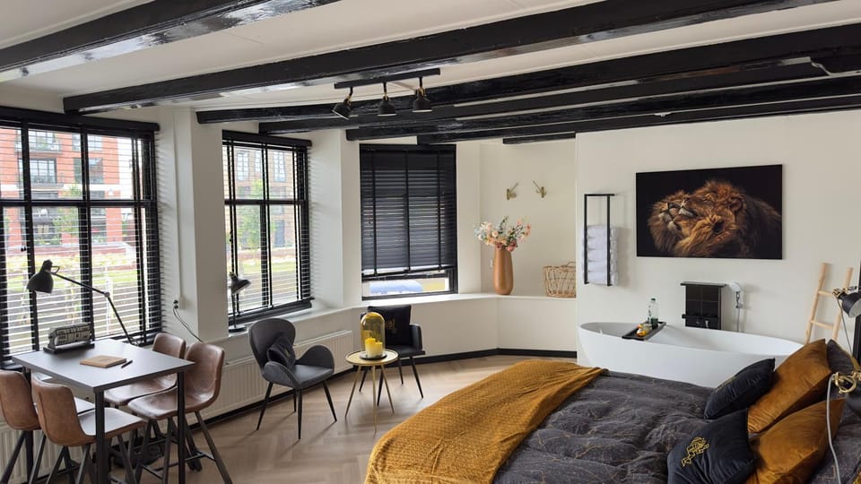 Bed, Living room, Photo of the whole room, Seating area, Bedroom