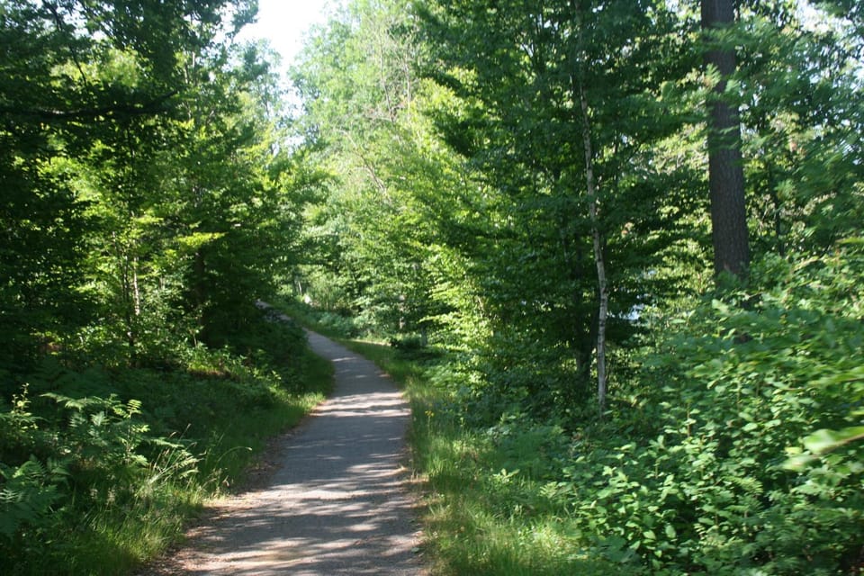 Area and facilities