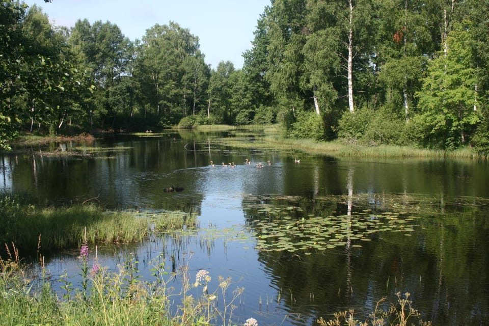 Area and facilities