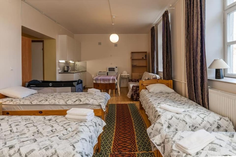 Püha Vaimu külaliskorter Apartment in Tallinn