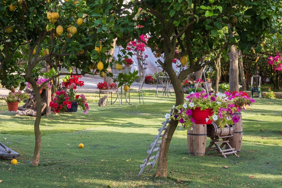 Garden, Garden