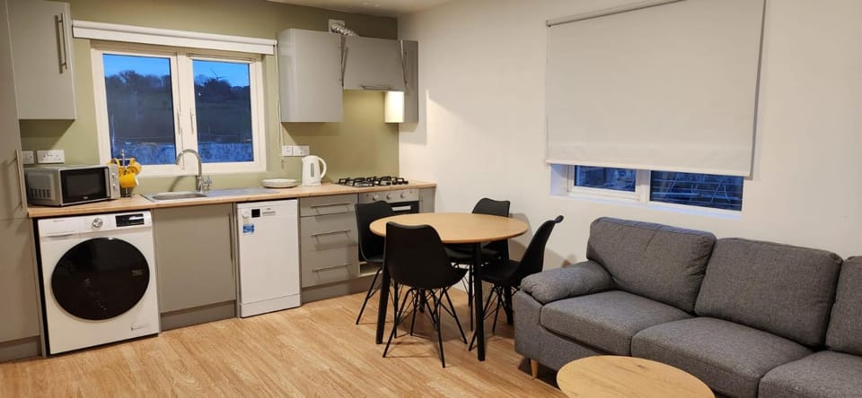 Kitchen or kitchenette, Living room, Seating area, Dining area, pet friendly, washing machine, dryer