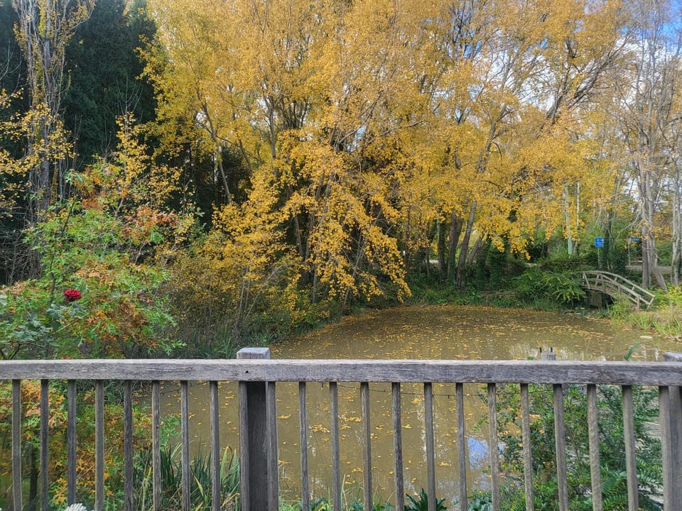 Lake view