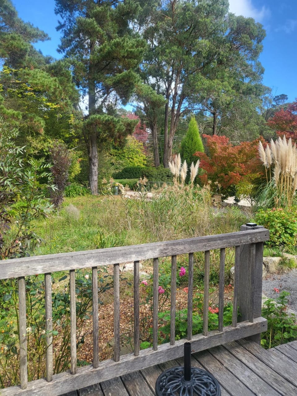 Garden view