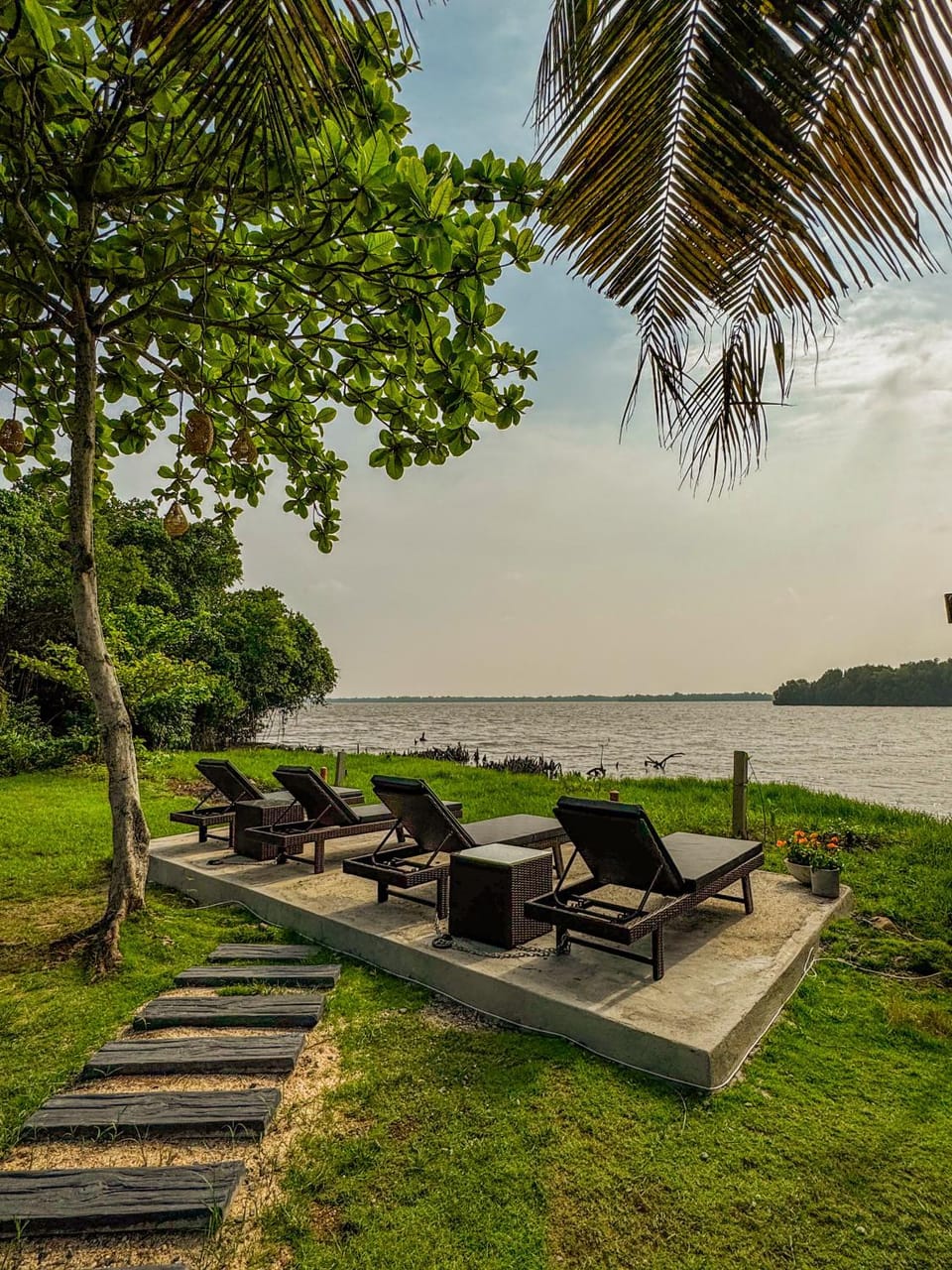 Garden, Lake view, sunbed