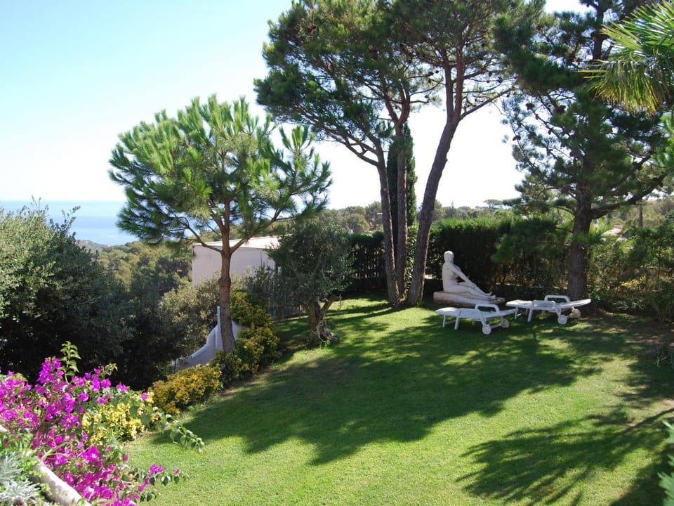 Spring, Day, Natural landscape, Garden, Garden view