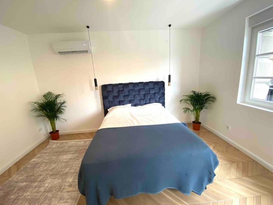 Soba 23 Apartment in Belgrade