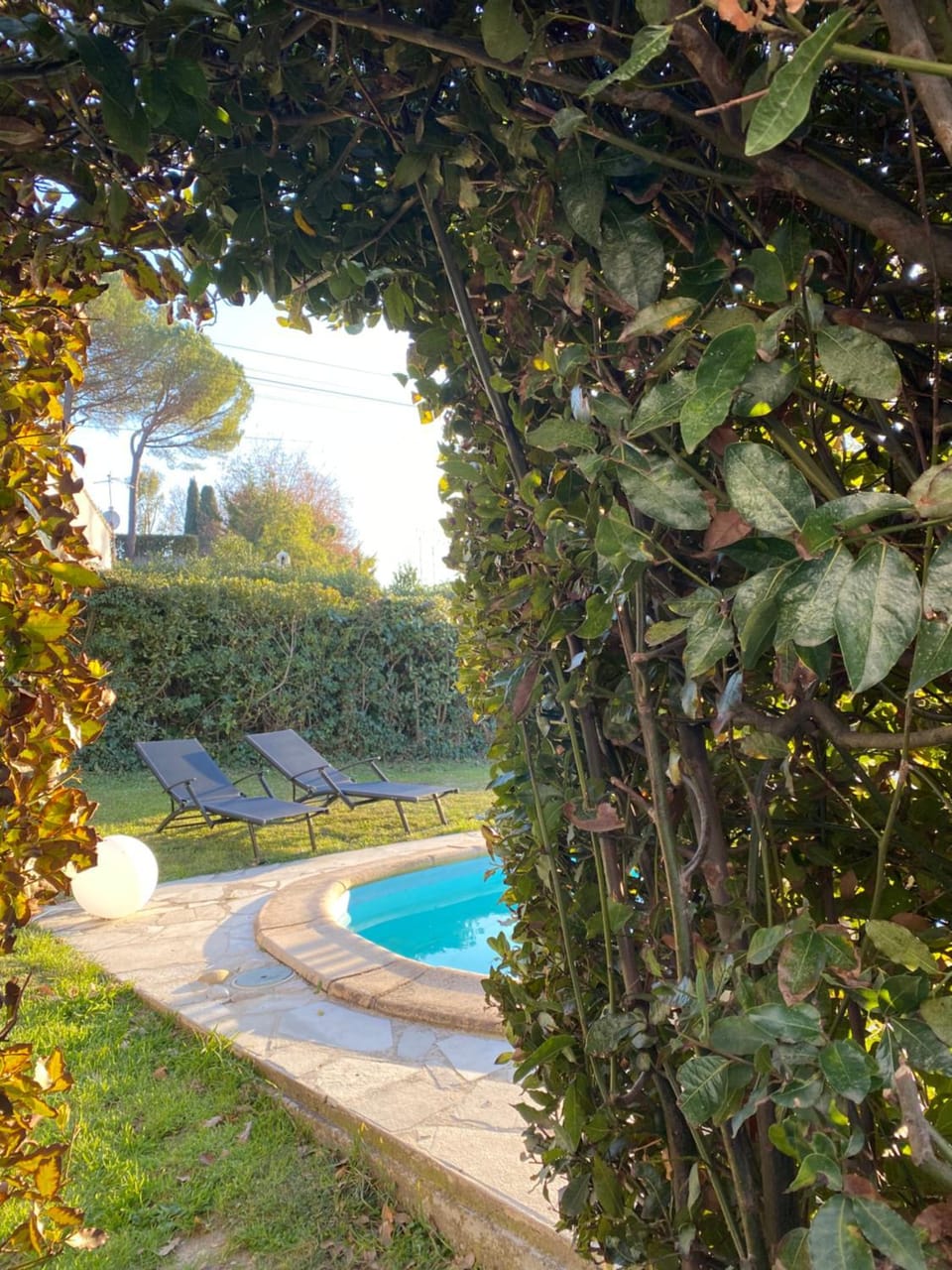 Garden, Garden view, Pool view, sunbed