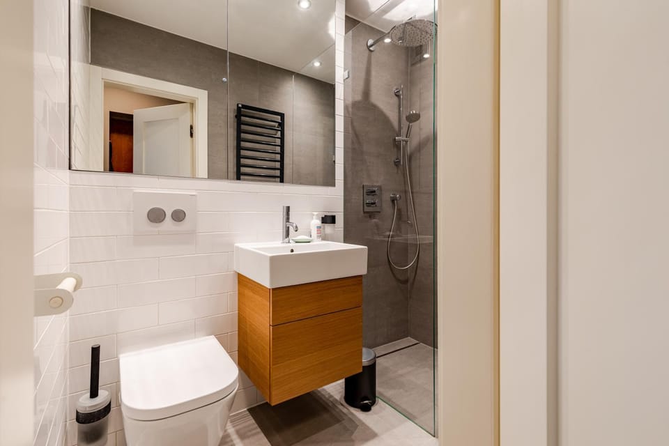 Shower, Toilet, Bathroom, dryer