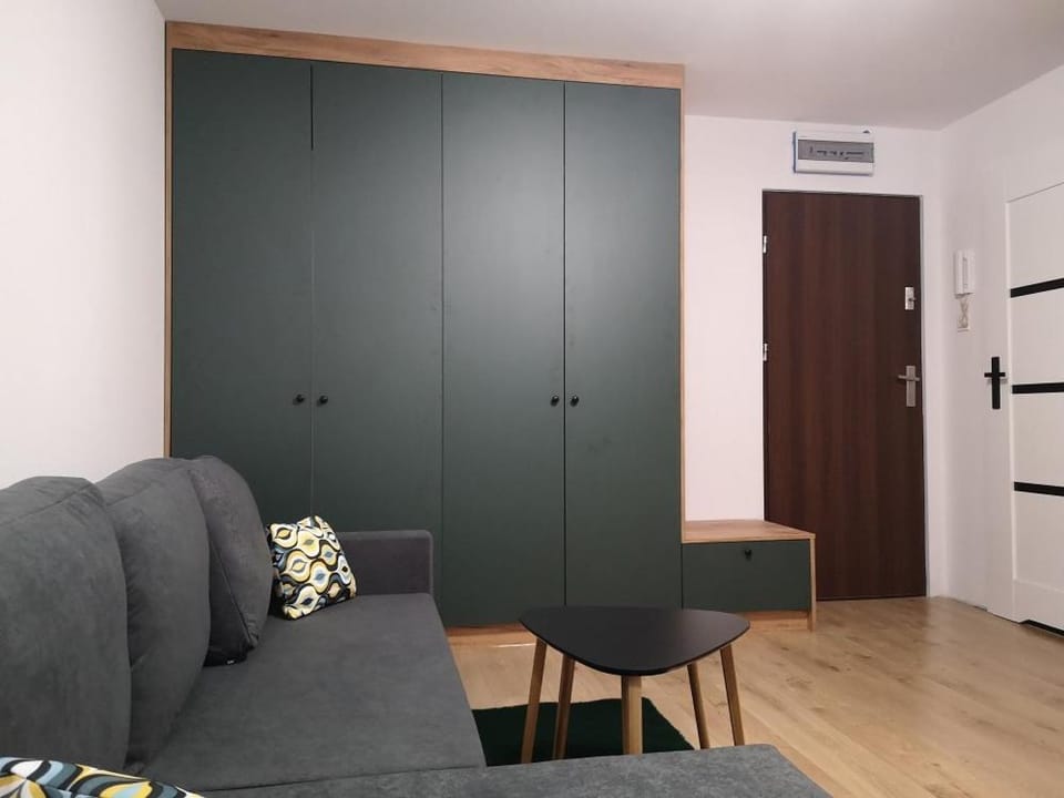 Coffee/tea facilities, Living room, Seating area, furniture, heating, internet, wardrobe