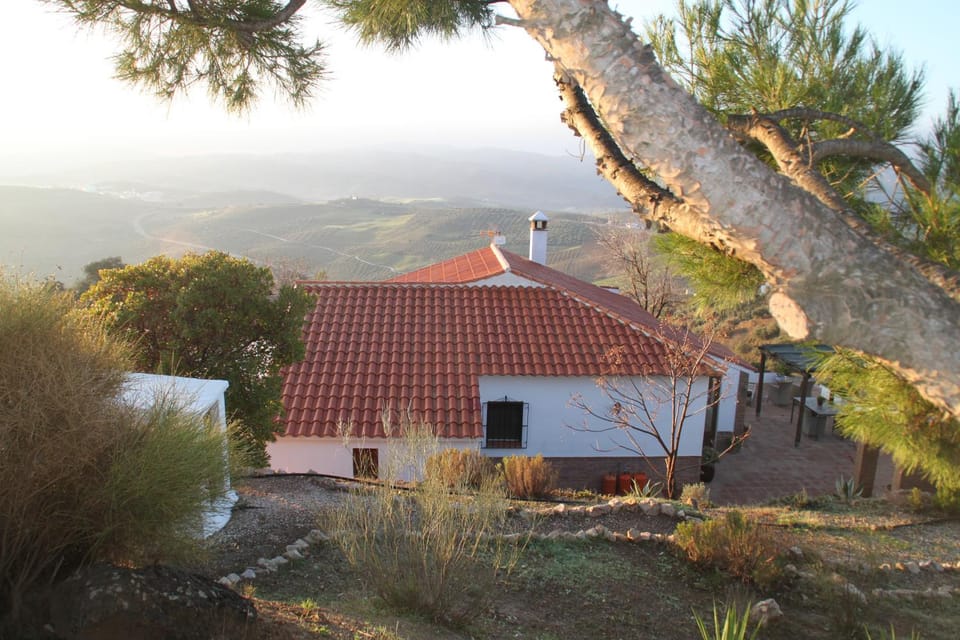 Landmark view
