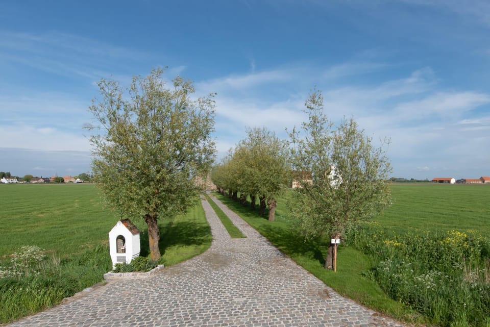 Country house - 'T Reigershof Villa in Flanders