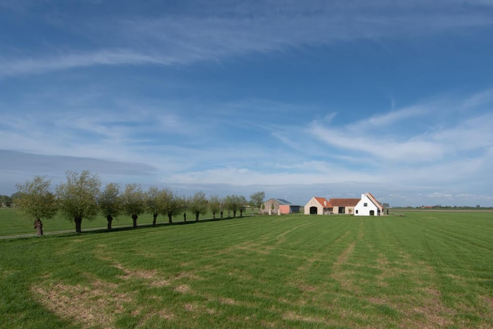 Property building, Natural landscape