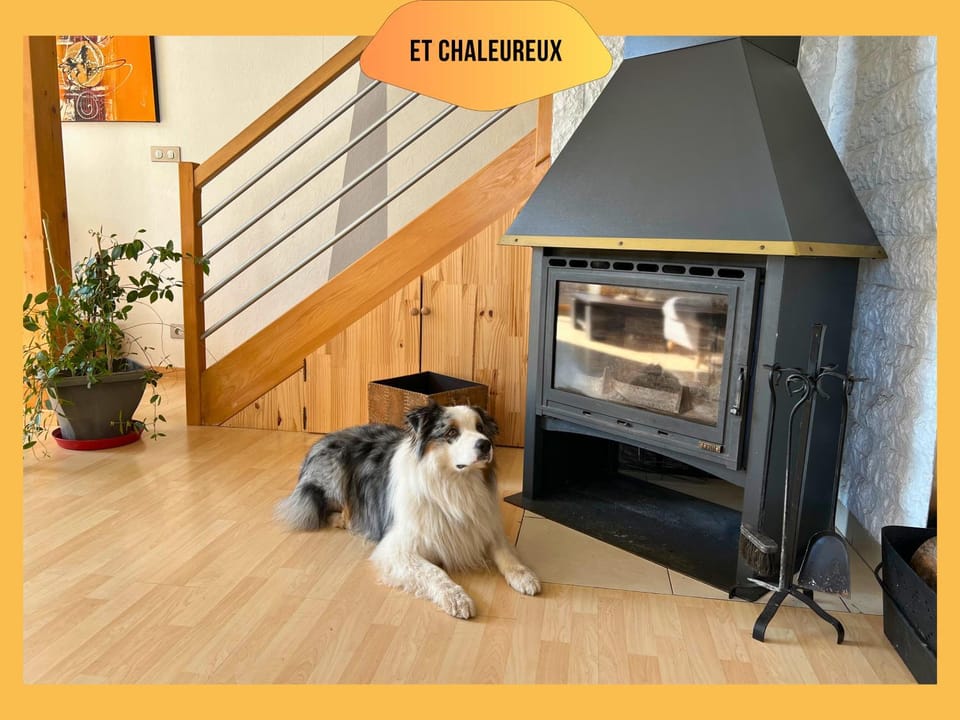 Living room, fireplace