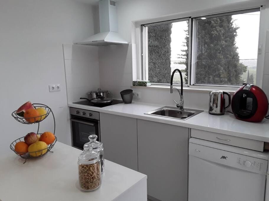Coffee/tea facilities, Kitchen or kitchenette, dishwasher, minibar, pet friendly, stove