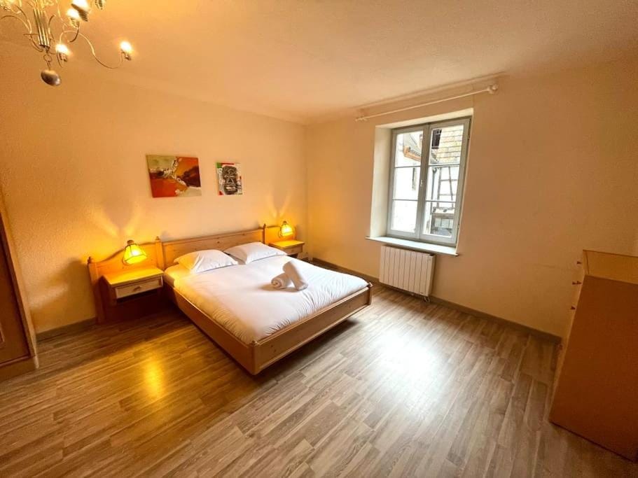 Spacious apartment in the heart of the center Apartment in Grand Est