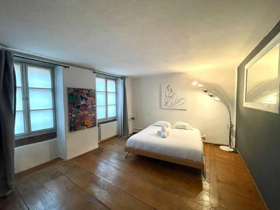 Spacious apartment in the heart of the center Apartment in Grand Est