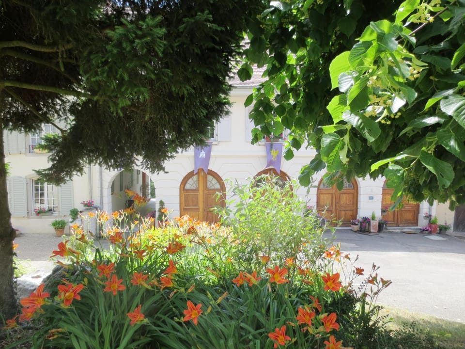 Facade/entrance, Summer