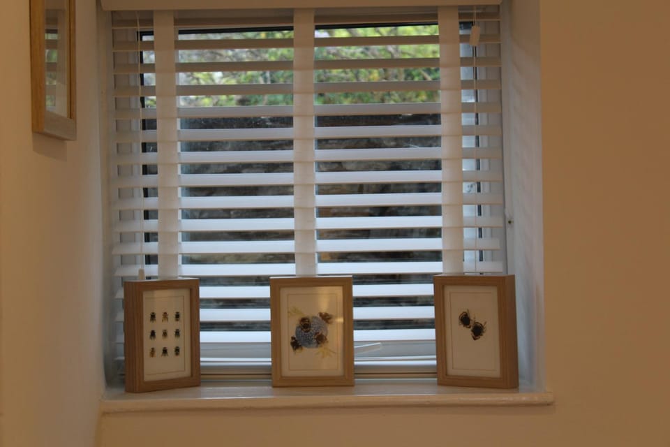 Rossett Pike Apartment in Bowness-on-Windermere