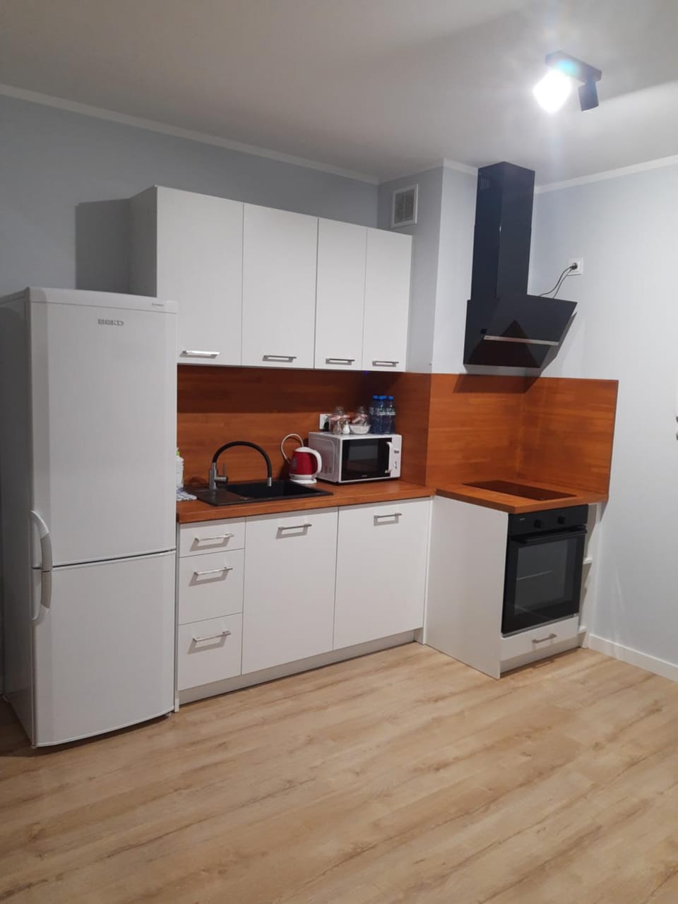 Coffee/tea facilities, Kitchen or kitchenette, dishwasher, minibar, stove