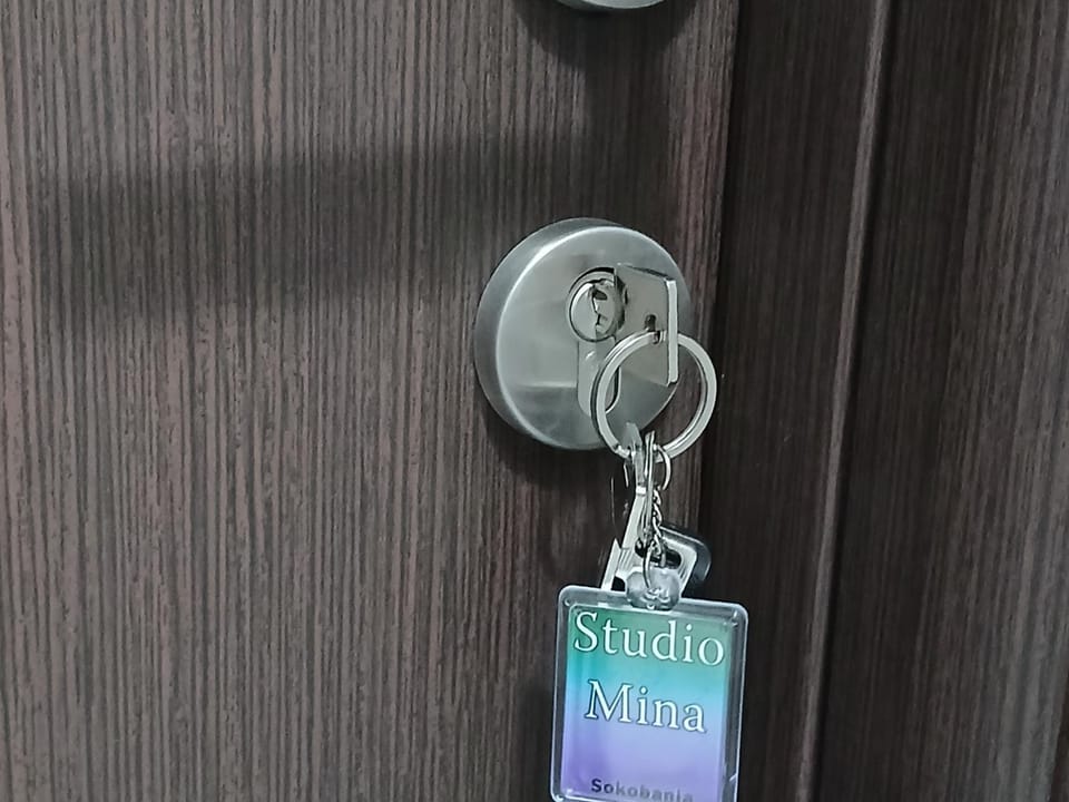 Studio Mina Apartment in Serbia