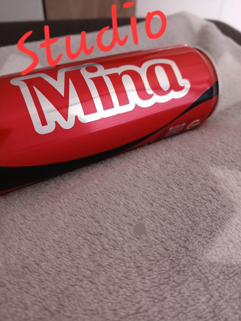 Studio Mina Apartment in Serbia