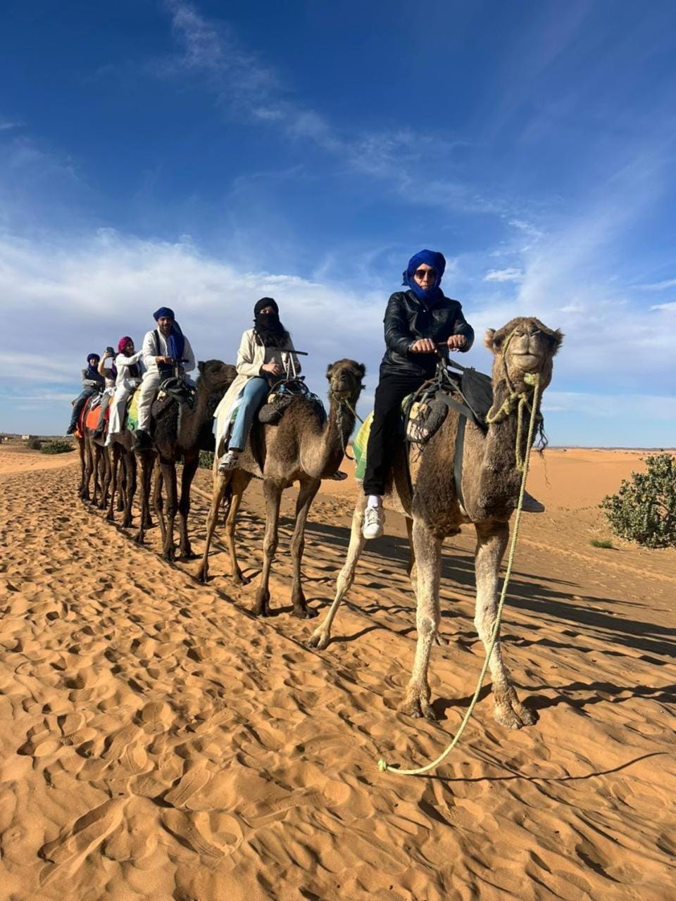 Day, Natural landscape, Horse-riding, Animals, group of guests