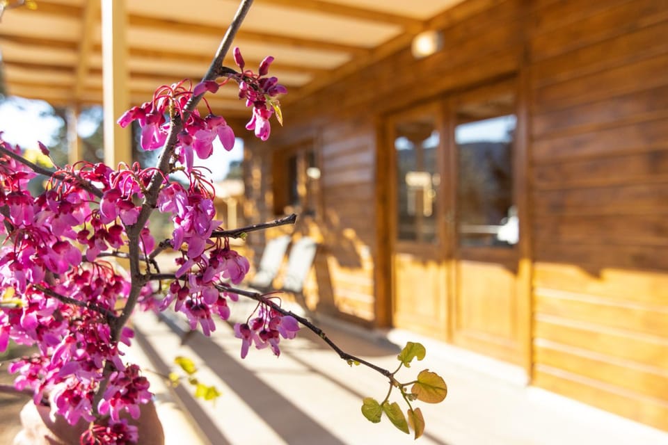 Spring, Day