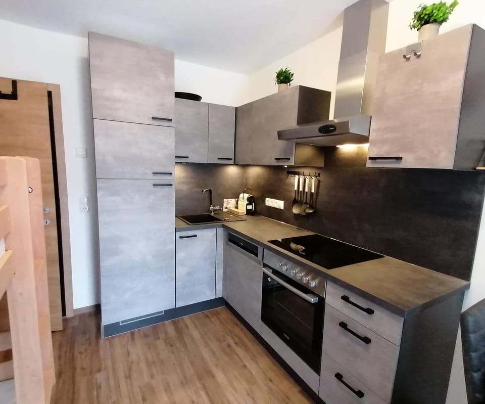 Kitchen or kitchenette, dishwasher, minibar, pet friendly, stove
