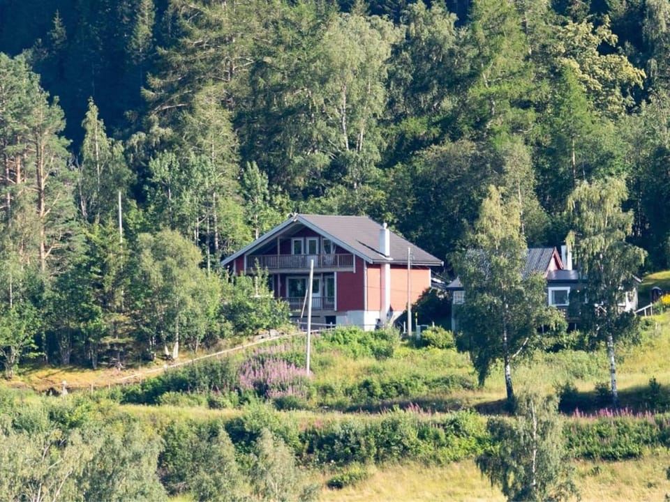 Property building, Day