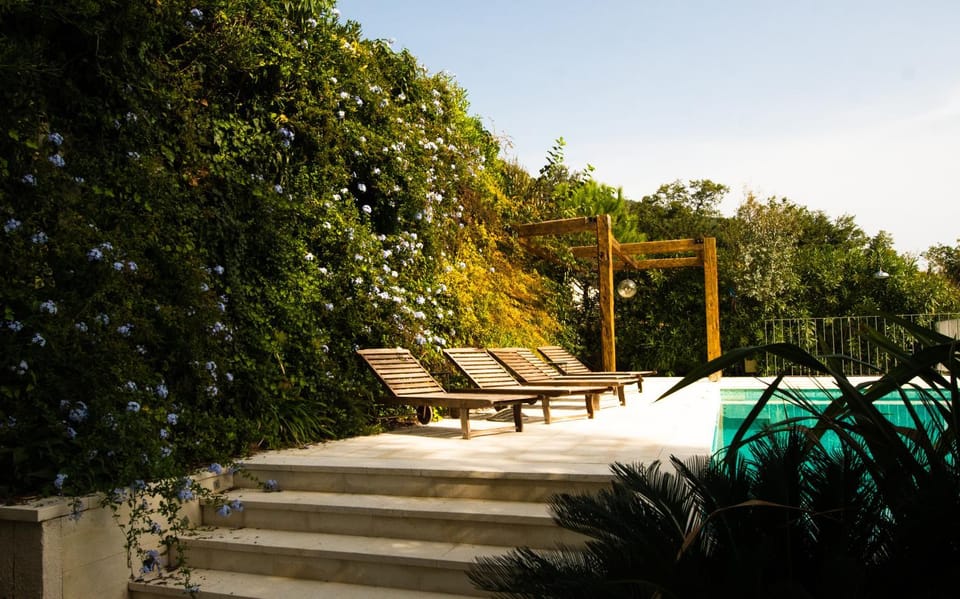 Day, Natural landscape, Garden, Garden view, Pool view, Swimming pool, sunbed