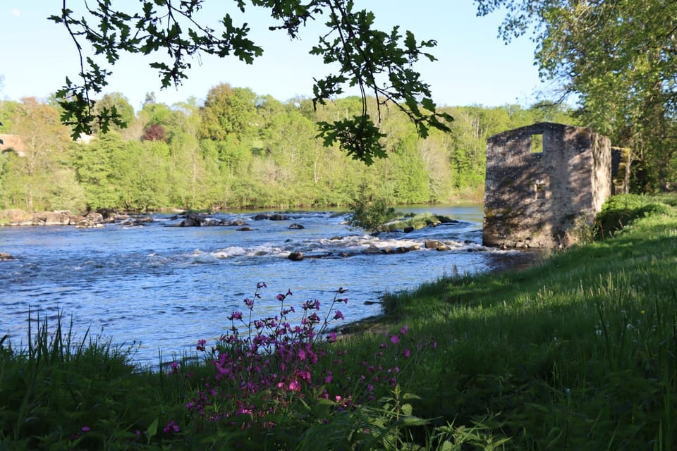 Natural landscape, River view