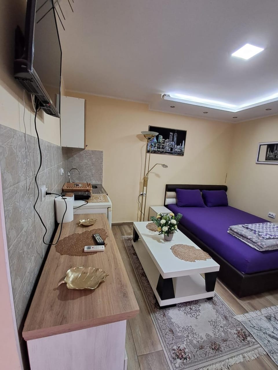 TINA1 Apartment in Serbia