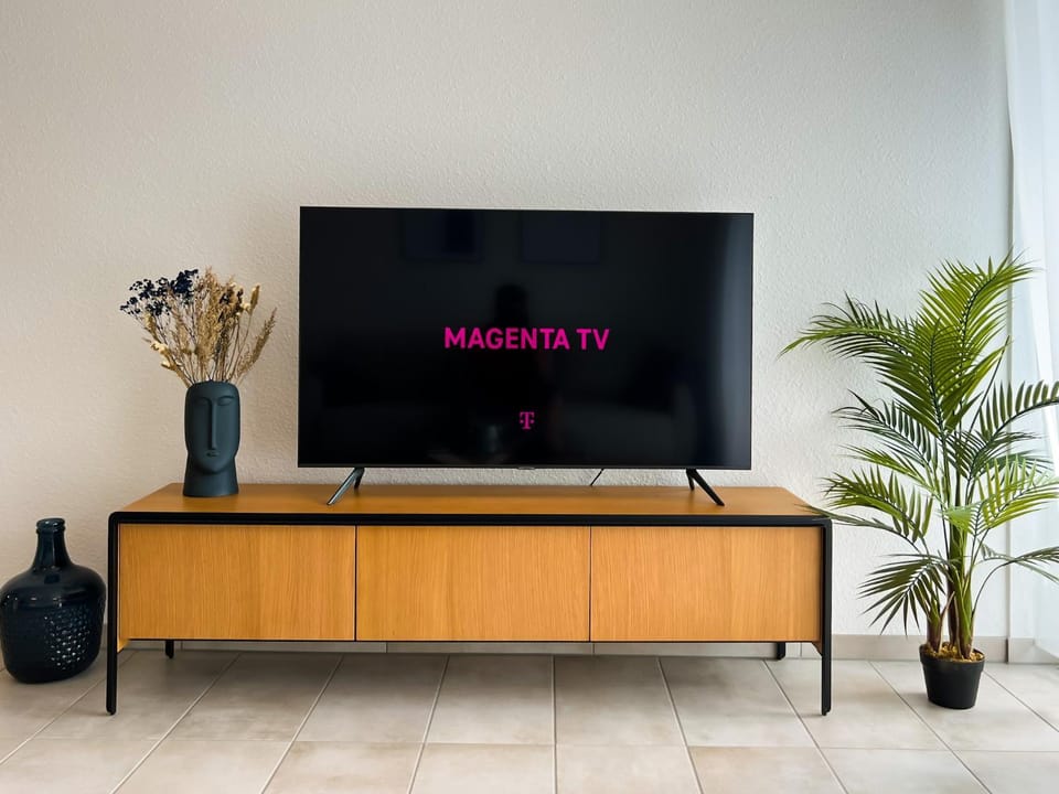 TV and multimedia