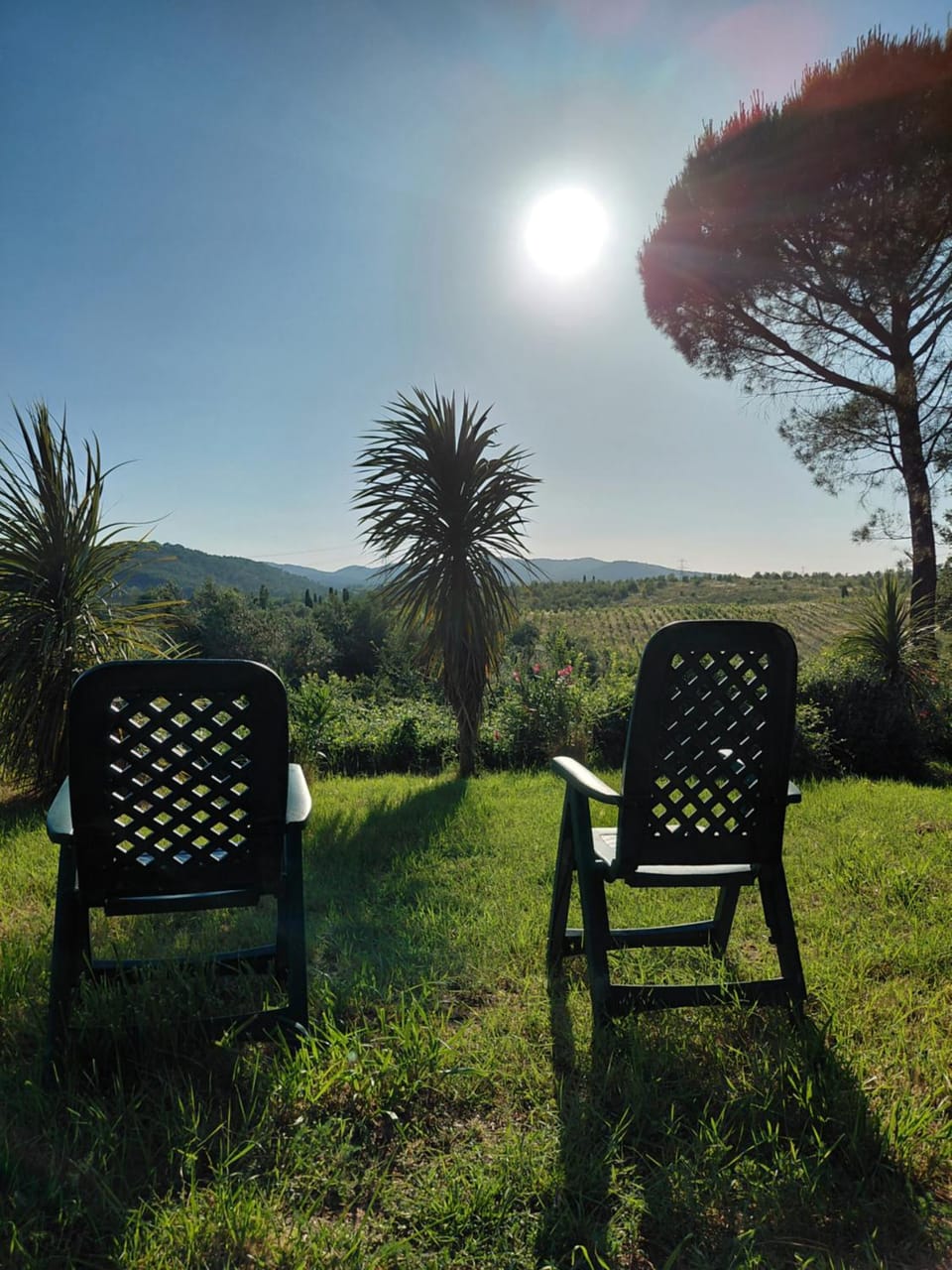 Day, Garden, Garden view