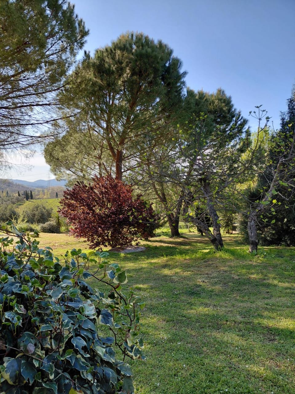 Natural landscape, Garden, Garden view