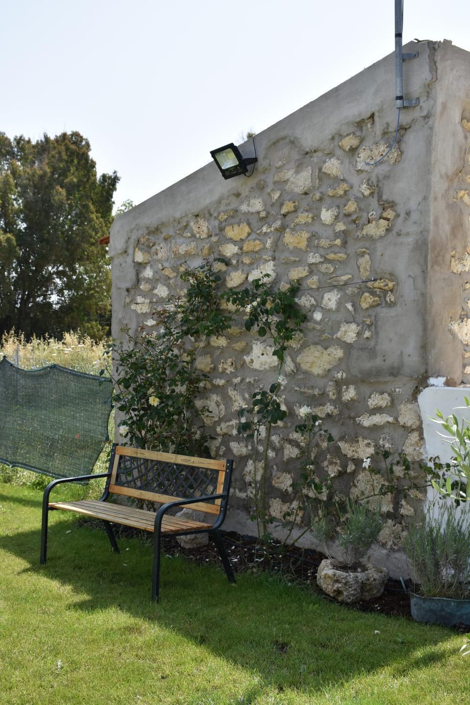 Garden view