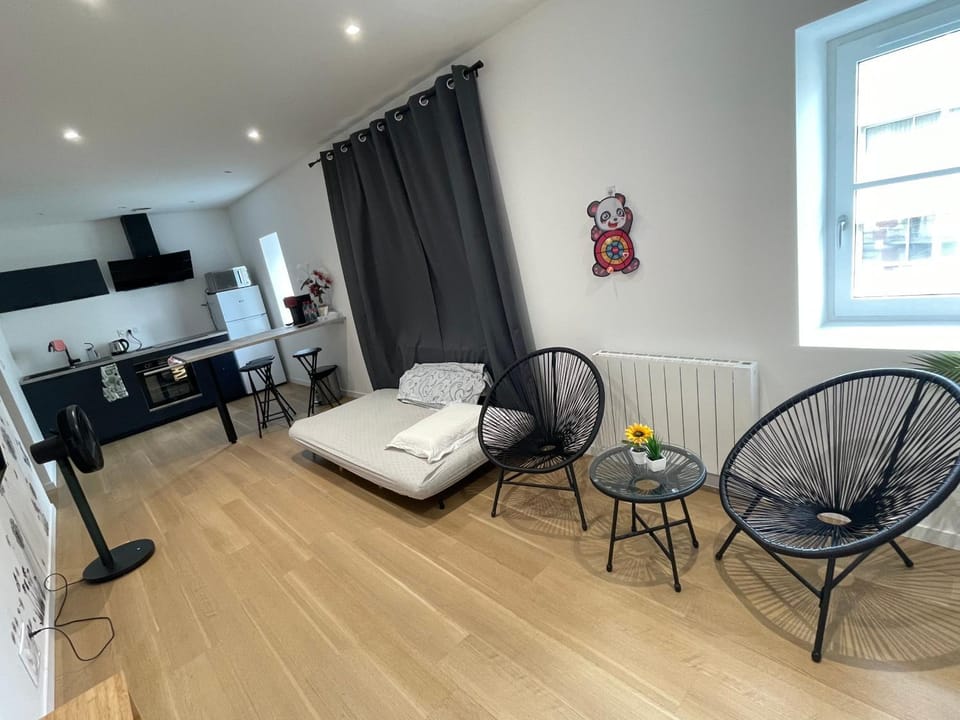 Appartement T2 à centre ville Apartment in Nouvelle-Aquitaine
