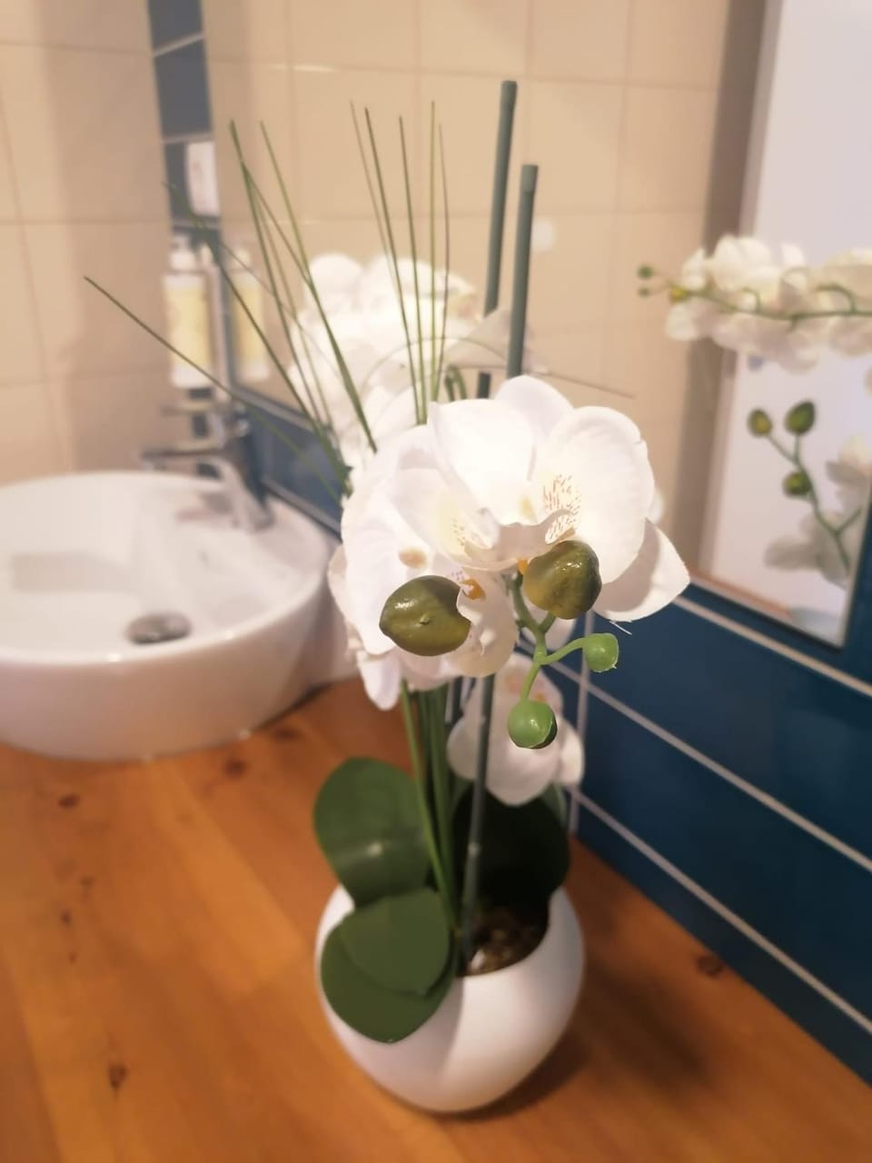Apartamento Graciosa - Sta Catarina Place Apartment in Ponta Delgada