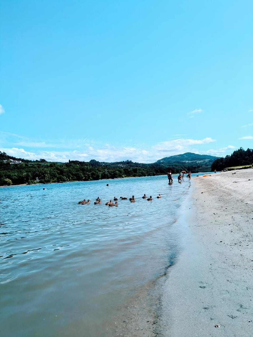 Natural landscape, Beach, Beach, River view